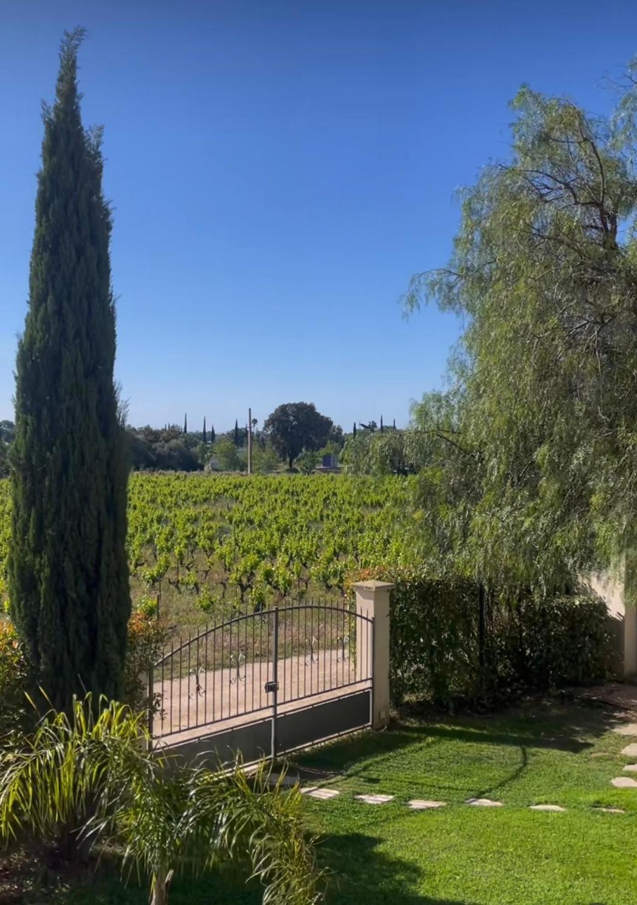 Chateau De La Clapiere Hyères Eksteriør billede