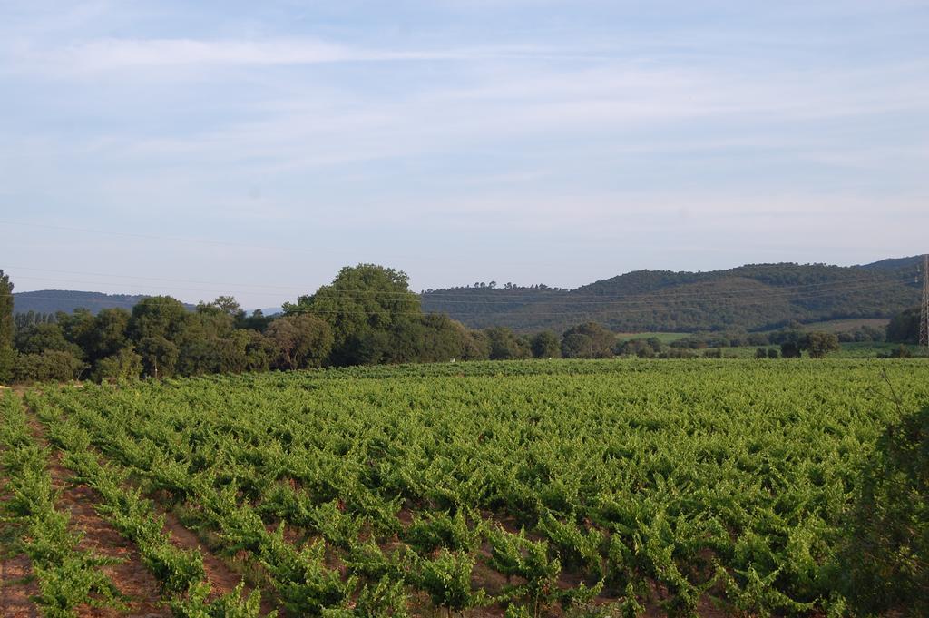 Chateau De La Clapiere Hyères Eksteriør billede